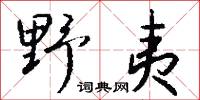 野夷怎么写好看